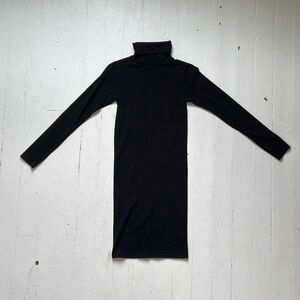 American Apparel Turtleneck Dress